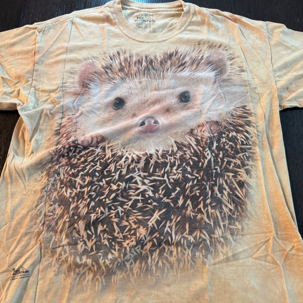 The Mountain Hedgehog Graphic T-Shirt Tan Tie Dye Michael Sanford 2013 Large